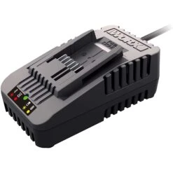Worx Power Share 20 V Lithium-Ion Quick Charger 1 Pc